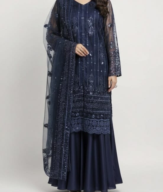 Embroidered Net Stiched 3PC