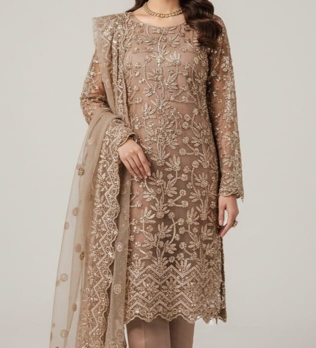 Embroidered Net Stiched 3PC