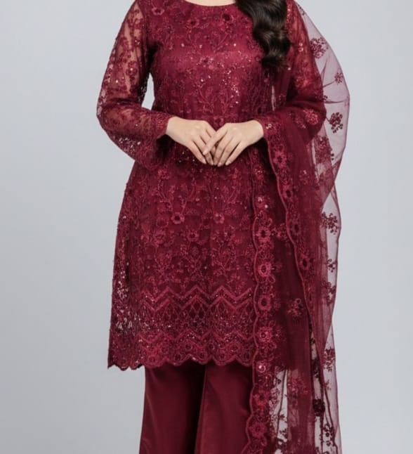 Embroidered Net Stiched 3PC
