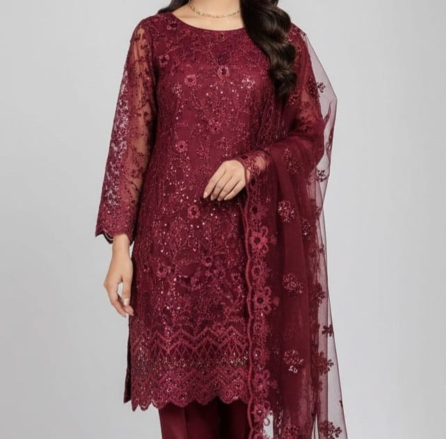Embroidered Net Stiched 3PC